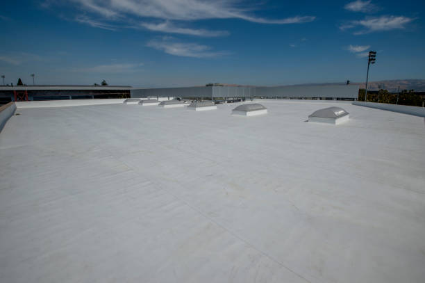 Best Cold Roofs  in Shoemakersville, PA